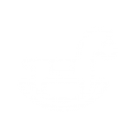 ATRACCIONES INFANTILES